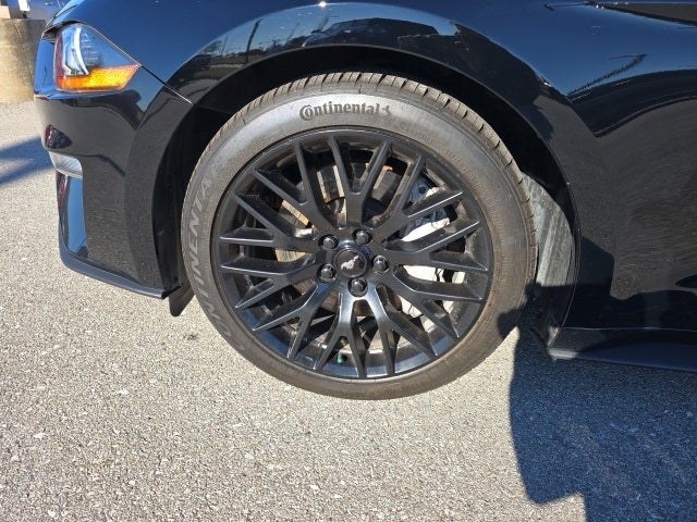 2019 Ford Mustang GT Premium Convertible