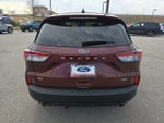 2021 Ford Escape SE Hybrid