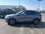2024 Ford Escape Hybrid ST-Line