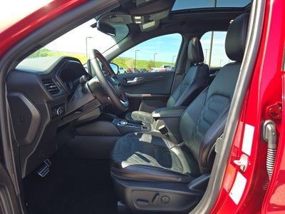 2024 Ford Escape ST-Line Elite