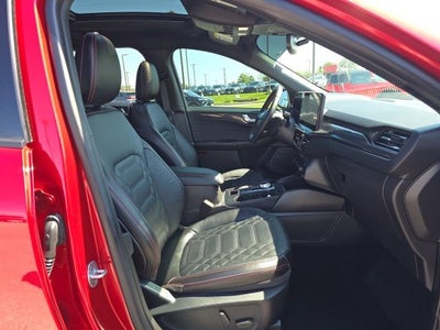 2024 Ford Escape ST-Line Elite